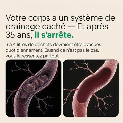 JolyMe™ — Capsules de Drainage Lymphatique | Nouvelle formule haute concentration