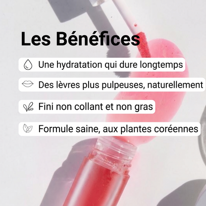 Huile à Lèvres Coréenne